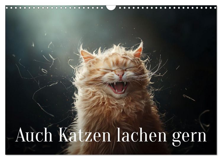 Produktbild: Auch Katzen lachen gern (Wandkalender 2026 DIN A3 quer), CALVENDO Monatskalender
