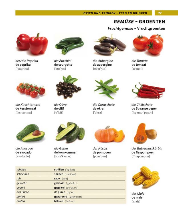 Produktbild: PONS Bildw&ouml;rterbuch Niederl&auml;ndisch