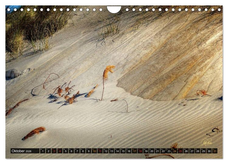 Produktbild: Nordsee-D&uuml;nen (Wandkalender 2026 DIN A4 quer), CALVENDO Monatskalender
