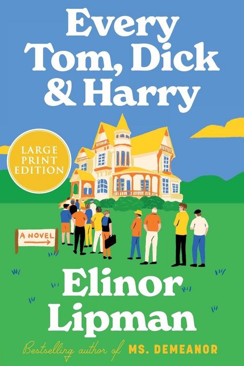 Produktbild: Every Tom, Dick & Harry LP