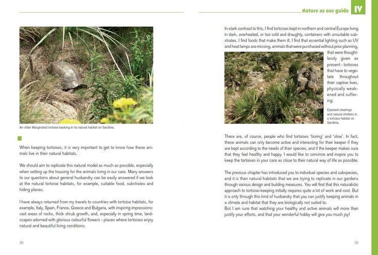 Produktbild: Mediterranean Tortoises: Gentle Creatures in Hard Shells