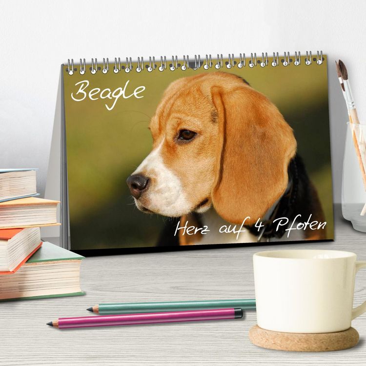Produktbild: Beagle - Herz auf 4 Pfoten (Tischkalender 2026 DIN A5 quer), CALVENDO Monatskalender