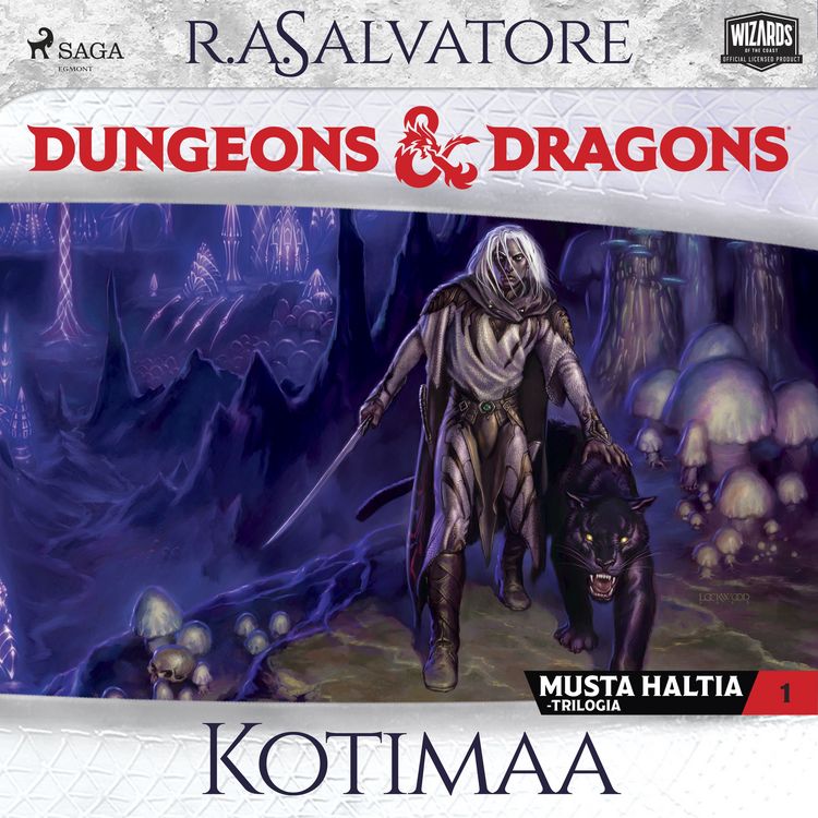 Produktbild: Dungeons & Dragons &ndash; Drizztin legenda: Kotimaa