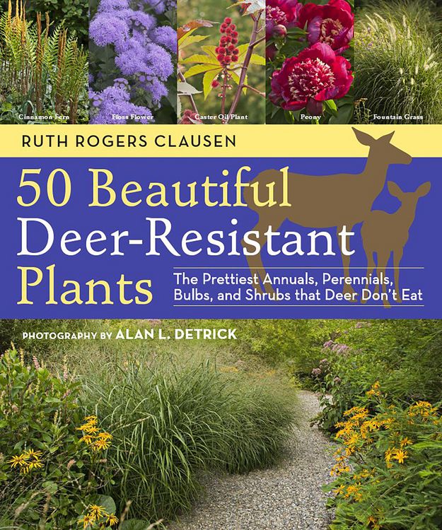 Produktbild: 50 Beautiful Deer-Resistant Plants