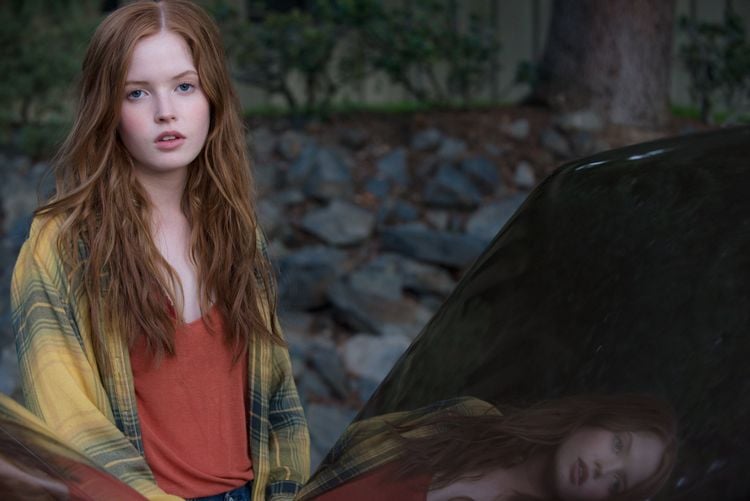 Produktbild: Nocturnal Animals
