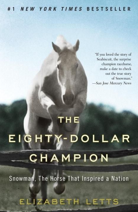 Produktbild: The Eighty-Dollar Champion