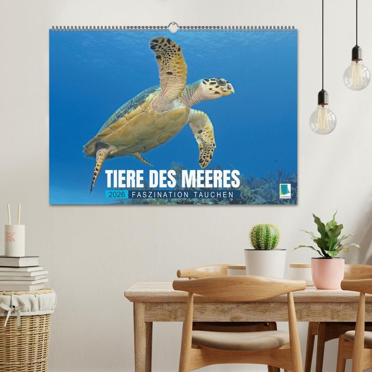 Produktbild: Tiere des Meeres: Faszination Tauchen (Wandkalender 2026 DIN A2 quer), CALVENDO Monatskalender