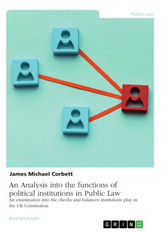 Produktbild: An Analysis into the functions of political institutions in Public Law