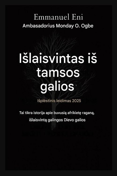 Produktbild: I&iquest;vaduotas i&iquest; tamsos galios - I&iquest;pl&iquest;stinis leidimas 2025 m.
