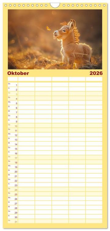 Produktbild: Familienplaner 2026 - Lustige Eselgeschichten mit 5 Spalten (Wandkalender, 21 x 45 cm) CALVENDO