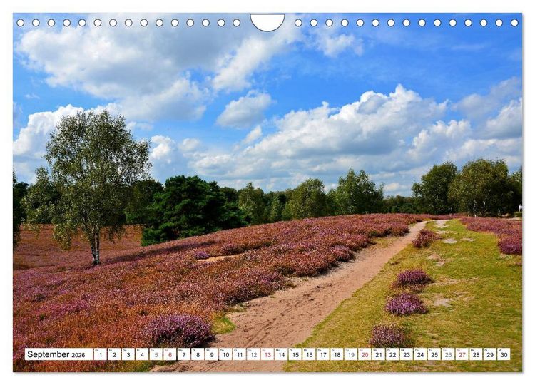 Produktbild: Wege gehen... (Wandkalender 2026 DIN A4 quer), CALVENDO Monatskalender