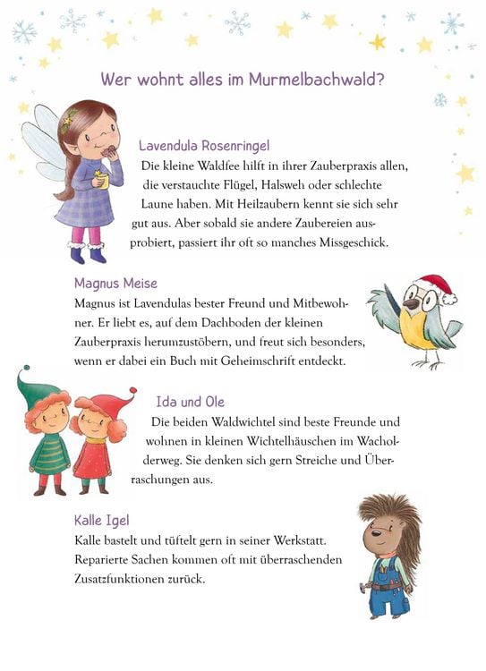 Produktbild: Weihnachten mit der kleinen Fee Lavendula