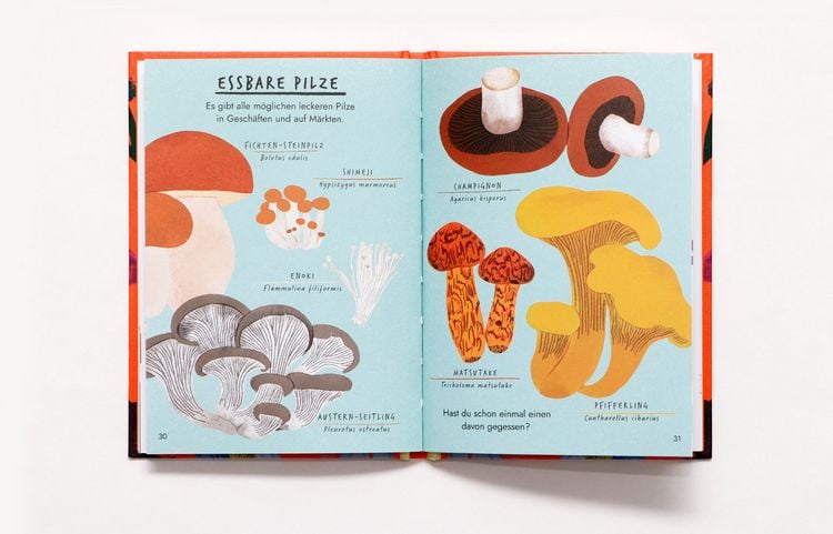 Produktbild: Hallo Pilze