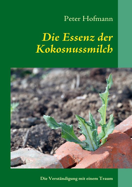 Produktbild: Die Essenz der Kokosnussmilch