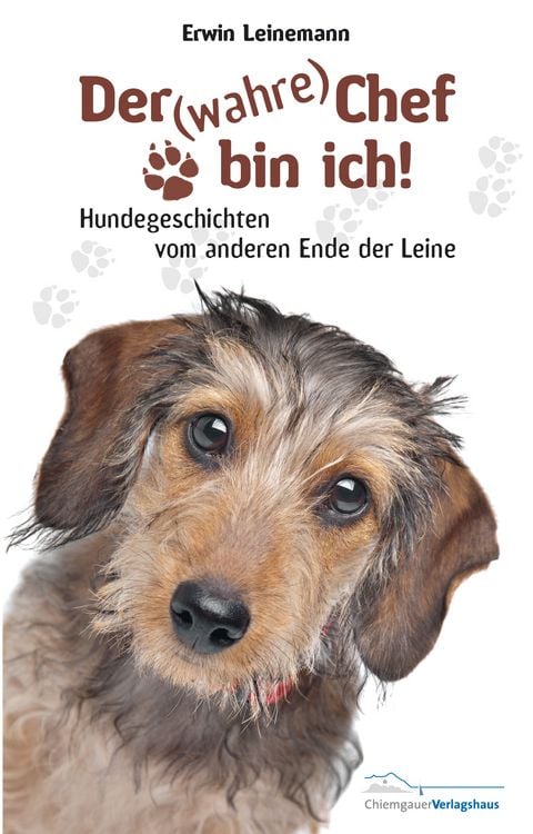 Produktbild: Der (wahre) Chef bin ich!