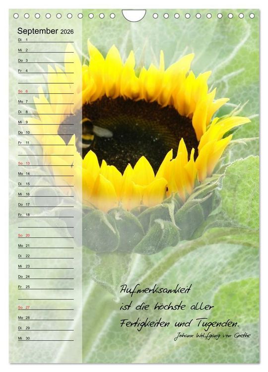 Produktbild: Blumen & Zitate / Geburtstagskalender (Wandkalender 2026 DIN A4 hoch), CALVENDO Monatskalender