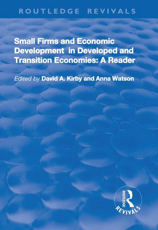 Produktbild: Small Firms and Economic Development in Developed and Transition Economies