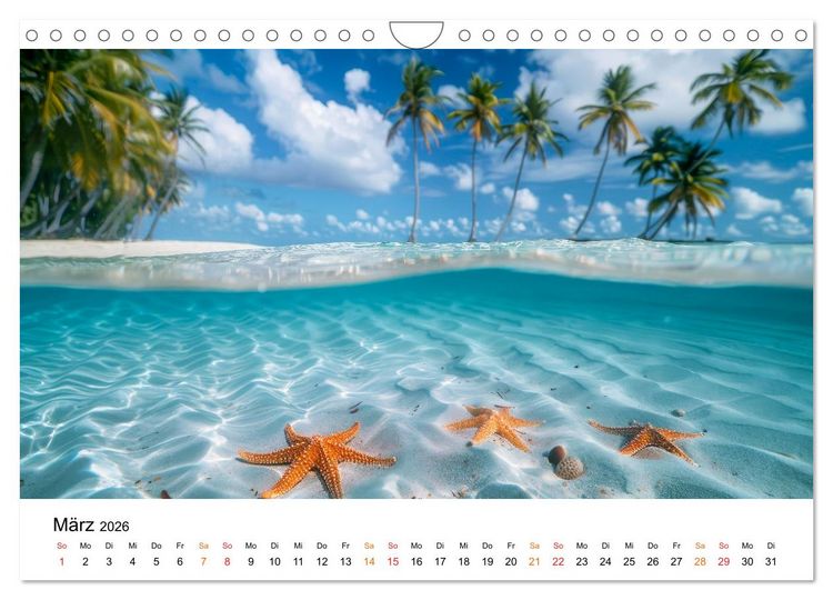 Produktbild: Mein Strand - ein Traum (Wandkalender 2026 DIN A4 quer), CALVENDO Monatskalender