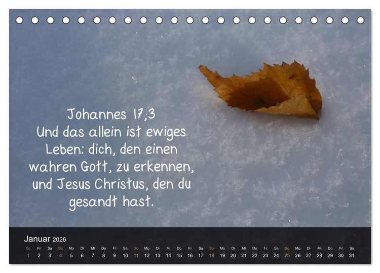 Produktbild: Sch&ouml;pfung im Licht (Tischkalender 2026 DIN A5 quer), CALVENDO Monatskalender