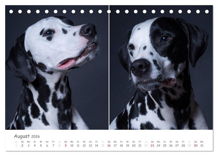 Produktbild: charakterstarke Hunde, wundersch&ouml;ne Hundeportraits (Tischkalender 2026 DIN A5 quer), CALVENDO Monatskalender