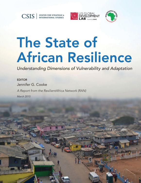 Produktbild: The State of African Resilience