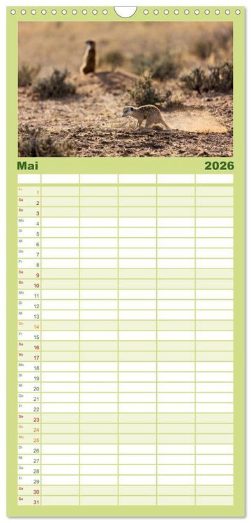 Produktbild: Familienplaner 2026 - Afrikas Tierwelt - Erdm&auml;nnchen mit 5 Spalten (Wandkalender, 21 x 45 cm) CALVENDO