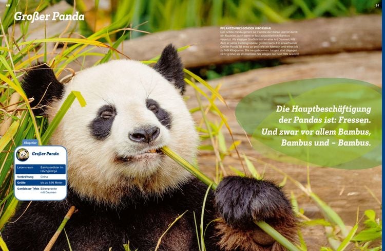 Produktbild: WAS IST WAS Geniale Tiere ... und ihre Tricks
