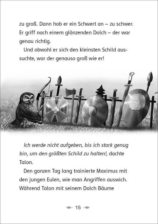 Der letzte Feuerfalke und der Stein der Macht (Band 1)
