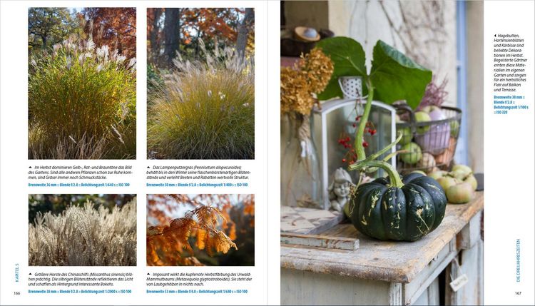Produktbild: Garten-Shooting