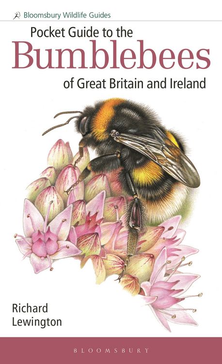 Produktbild: Pocket Guide to the Bumblebees of Great Britain and Ireland
