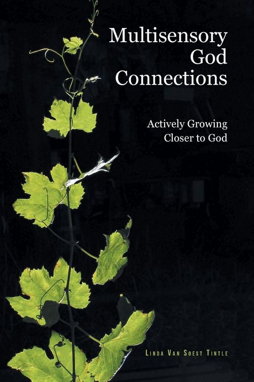 Produktbild: Multisensory God Connections