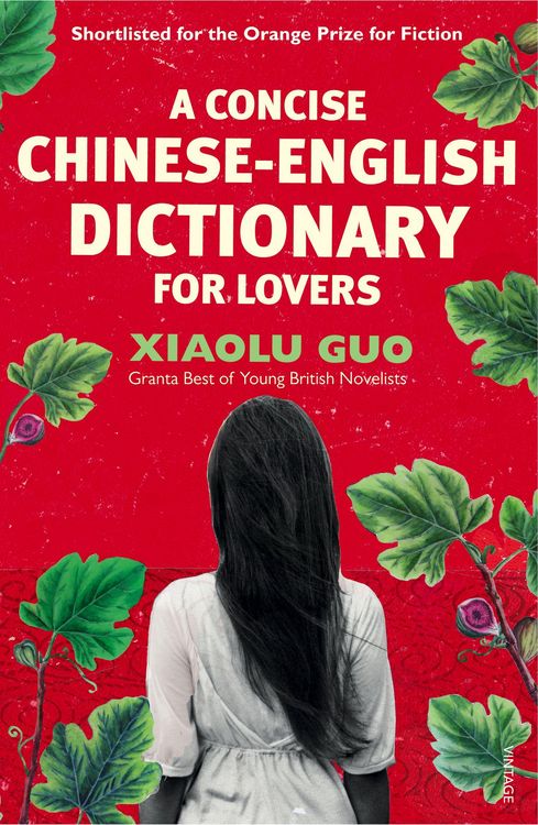 Produktbild: A Concise Chinese-English Dictionary for Lovers