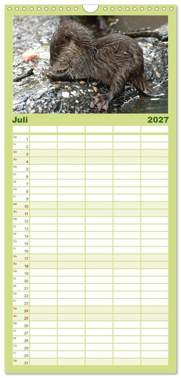 Produktbild: Familienplaner 2027 - Kleine Schelme - Tierbabys mit 5 Spalten (Wandkalender, 21 x 45 cm) CALVENDO