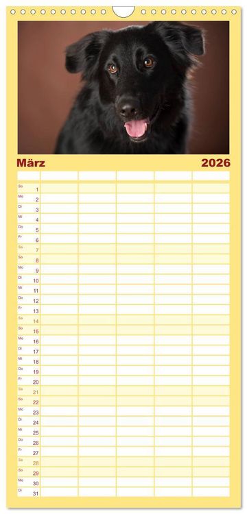Produktbild: Familienplaner 2026 - Bunte Pfoten mit 5 Spalten (Wandkalender, 21 x 45 cm) CALVENDO