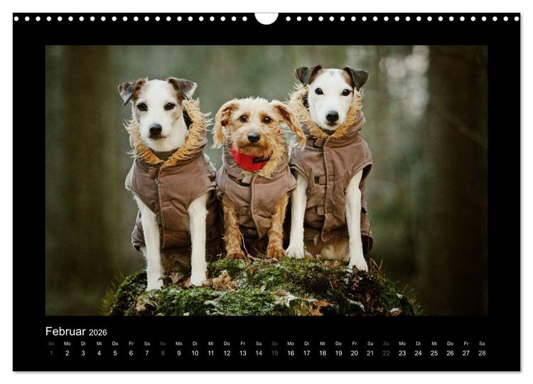 Produktbild: Die Parsons (Wandkalender 2026 DIN A3 quer), CALVENDO Monatskalender