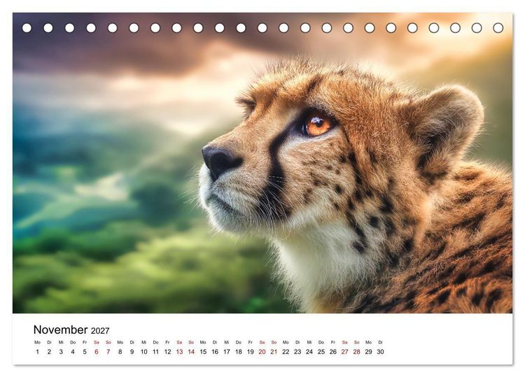 Produktbild: Eleganz und Instinkt - die beeindruckende Welt der Geparden (Tischkalender 2027 DIN A5 quer), CALVENDO Monatskalender