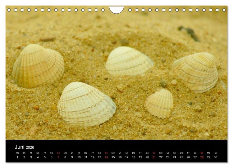 Produktbild: An der Nordsee (Wandkalender 2026 DIN A4 quer), CALVENDO Monatskalender