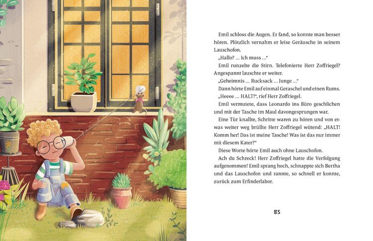 Produktbild: Emil Einstein (Bd. 6)
