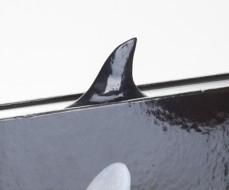 Produktbild: FishTales Shark - Lesezeichen Hai