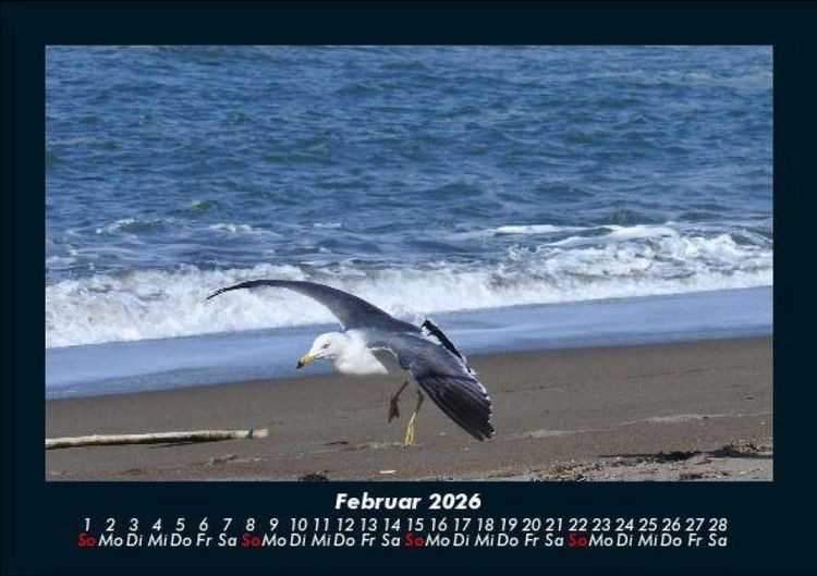 Produktbild: Meereslandschaft 2026 Fotokalender DIN A5