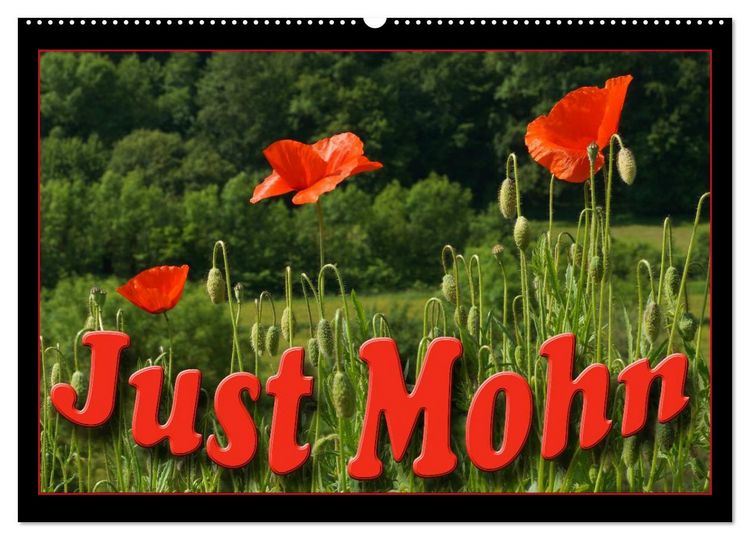 Produktbild: Just Mohn (Wandkalender 2026 DIN A2 quer), CALVENDO Monatskalender