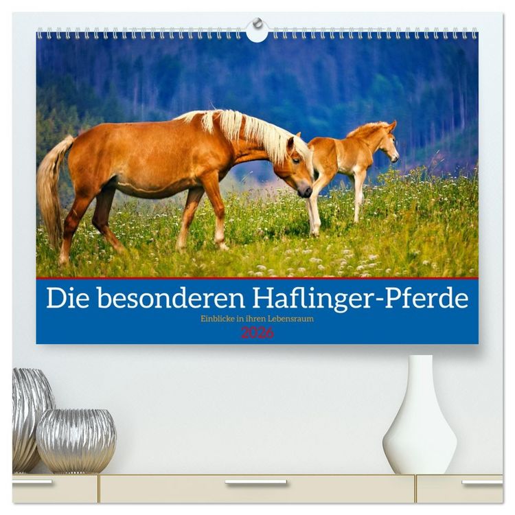Produktbild: Die besonderen Haflinger-Pferde (hochwertiger Premium Wandkalender 2026 DIN A2 quer), Kunstdruck in Hochglanz