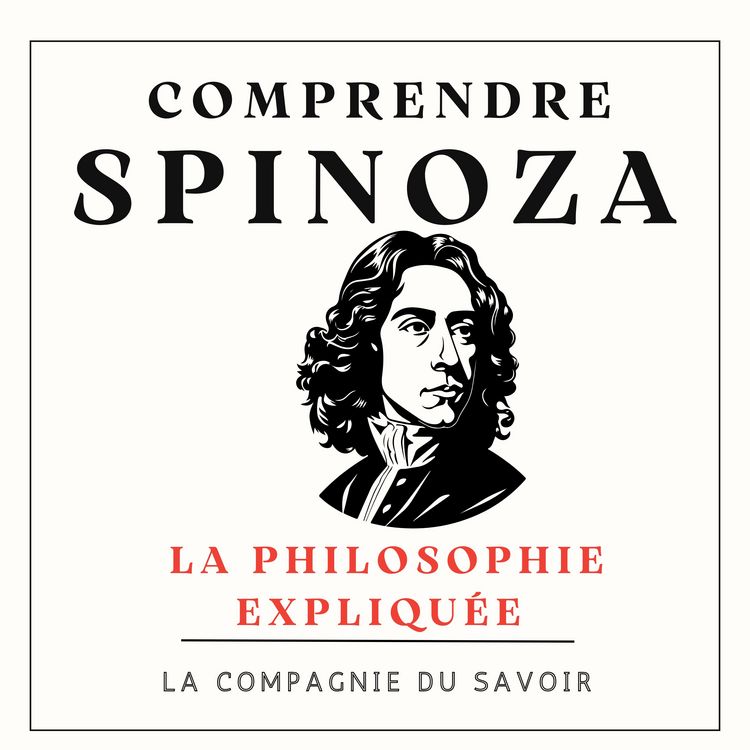 Produktbild: Comprendre Spinoza