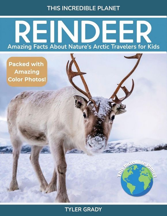 Produktbild: Reindeer