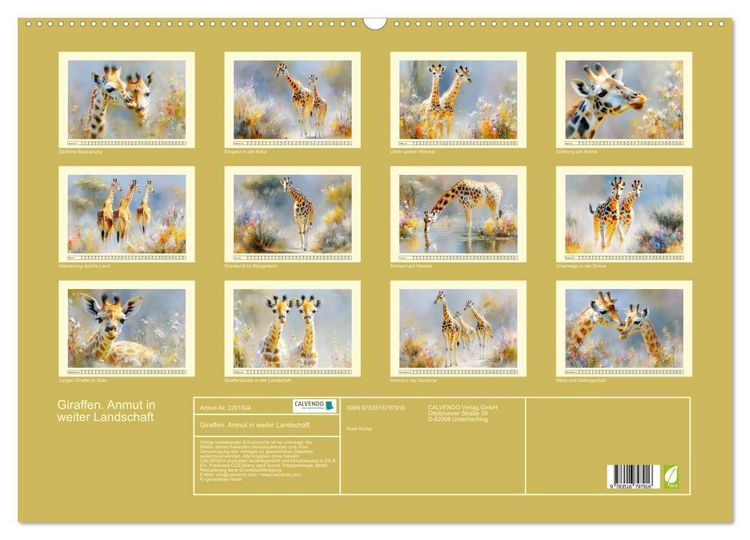 Produktbild: Giraffen. Anmut in weiter Landschaft (Wandkalender 2027 DIN A2 quer), CALVENDO Monatskalender