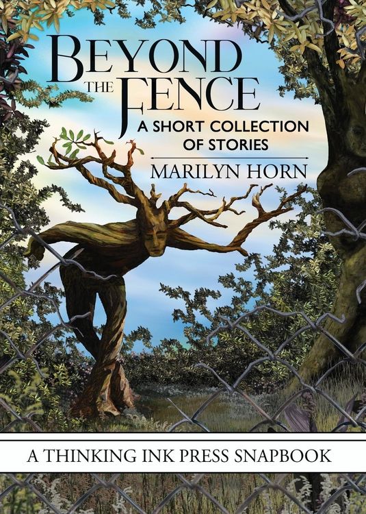 Produktbild: Beyond the Fence