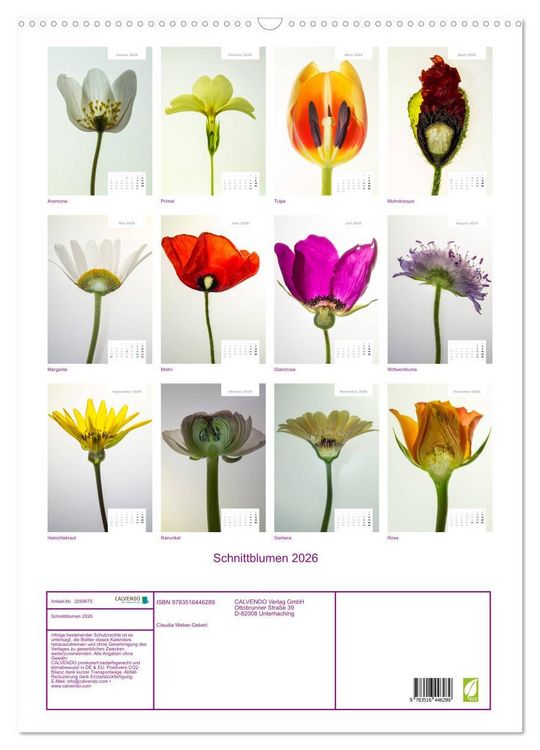 Produktbild: Schnittblumen 2026 (Wandkalender 2026 DIN A2 hoch), CALVENDO Monatskalender