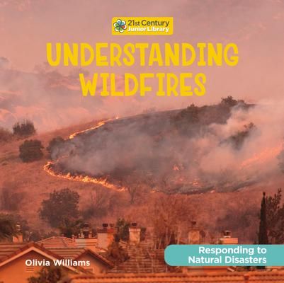 Produktbild: Understanding Wildfires