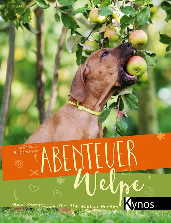 Produktbild: Abenteuer Welpe