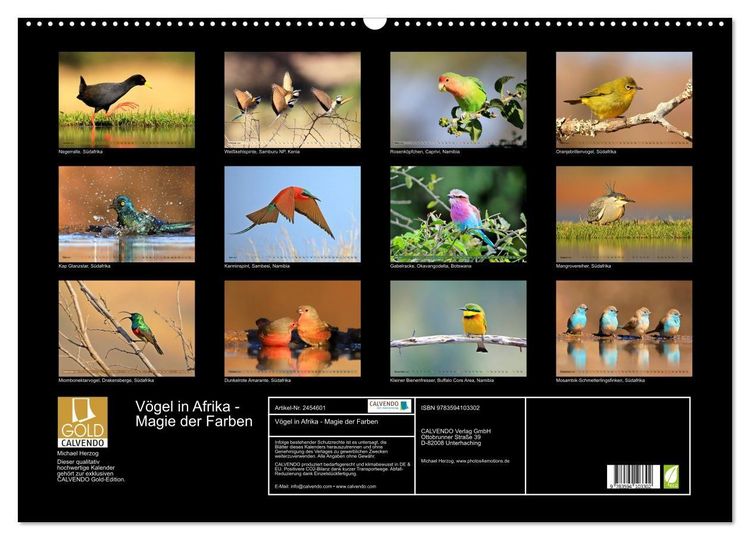 Produktbild: V&ouml;gel in Afrika - Magie der Farben (Wandkalender 2027 DIN A2 quer), CALVENDO Monatskalender